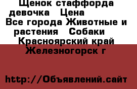 Щенок стаффорда девочка › Цена ­ 20 000 - Все города Животные и растения » Собаки   . Красноярский край,Железногорск г.